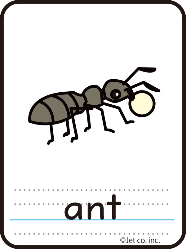 ant（アリ）