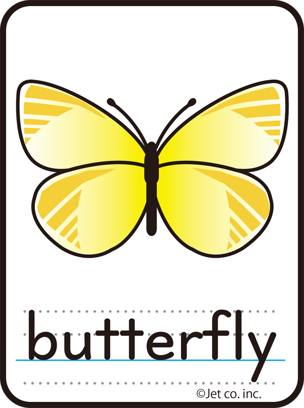 butterfly（チョウ）