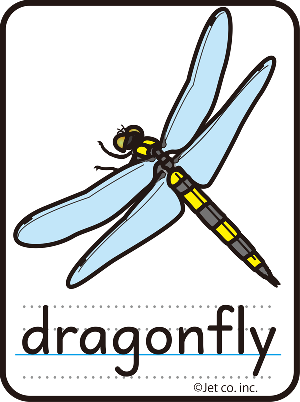 dragonfly（トンボ）
