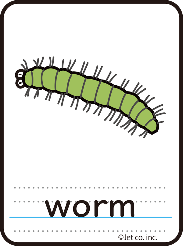 worm（虫）