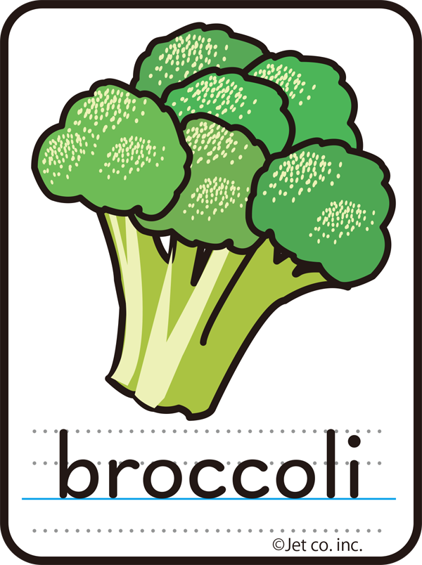broccoli（ブロッコリ）