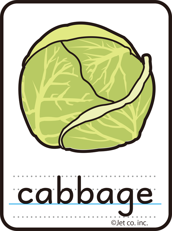 cabbage（キャベツ）