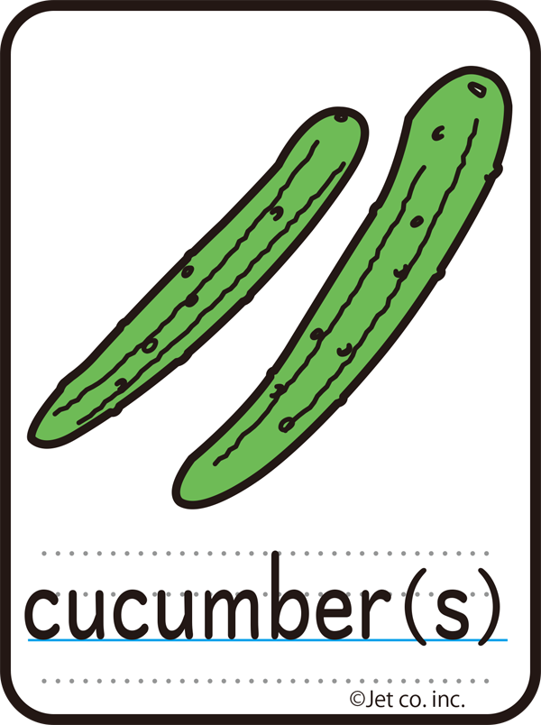 cucumber（キュウリ）