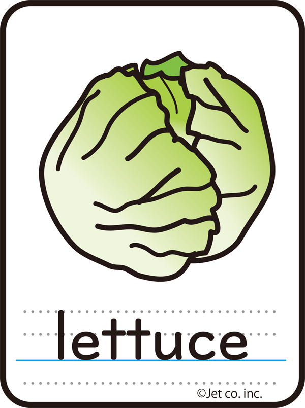 lettuce（レタス）