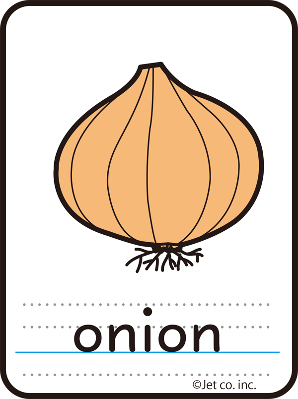 onion（玉ねぎ）