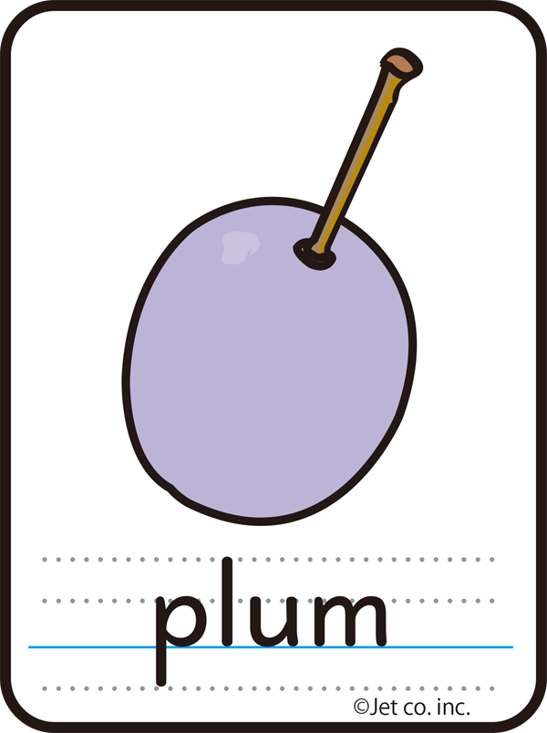 plum（梅）