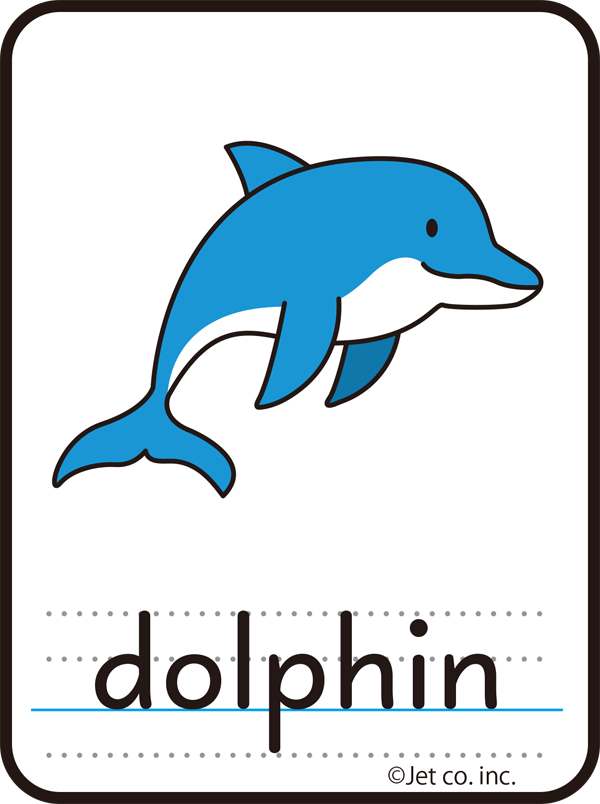 dolphin（イルカ）