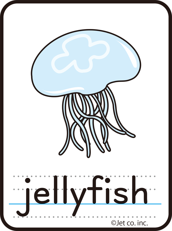jellyfish（クラゲ）