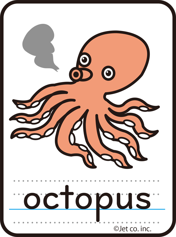 octopus（タコ）