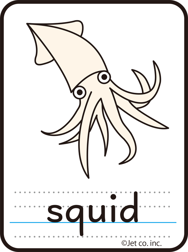 squid（イカ）