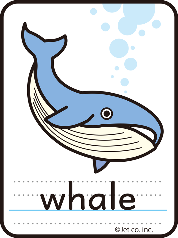 whale（クジラ）