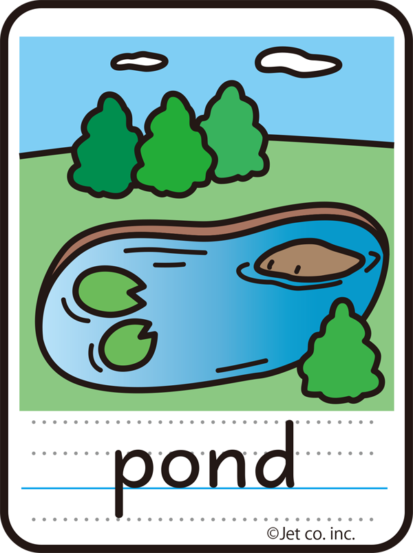 pond（池）