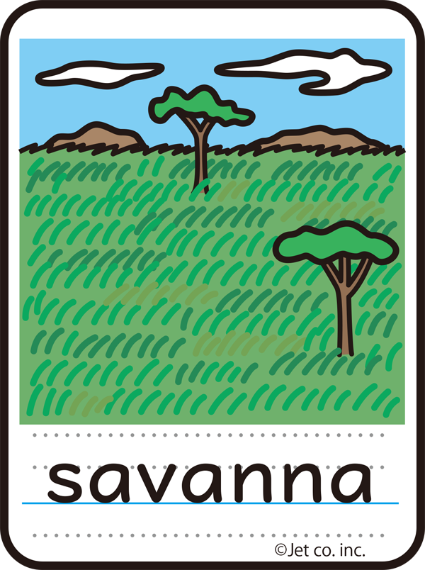 savanna（サバンナ）