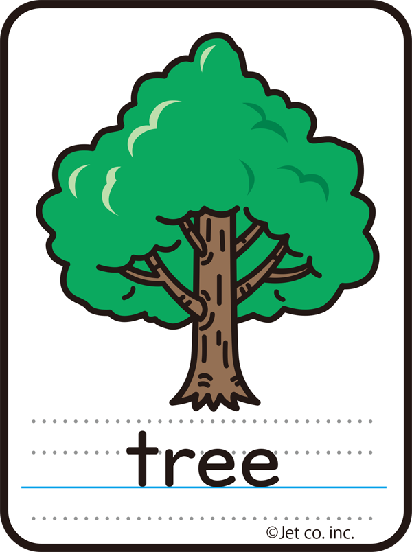 tree（木）