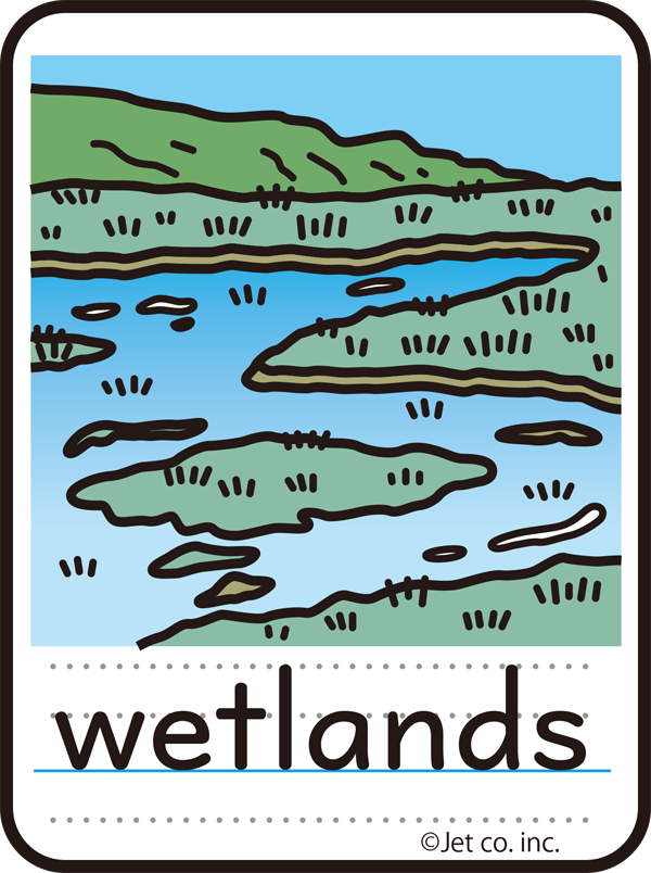 wetlands（湿地）