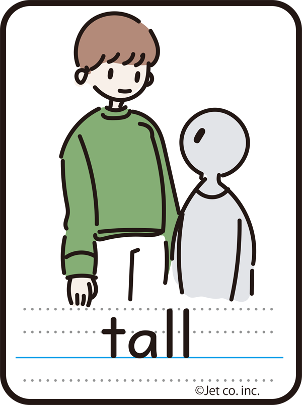 tall（背の高い）