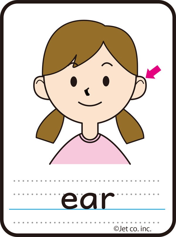 ear（耳）