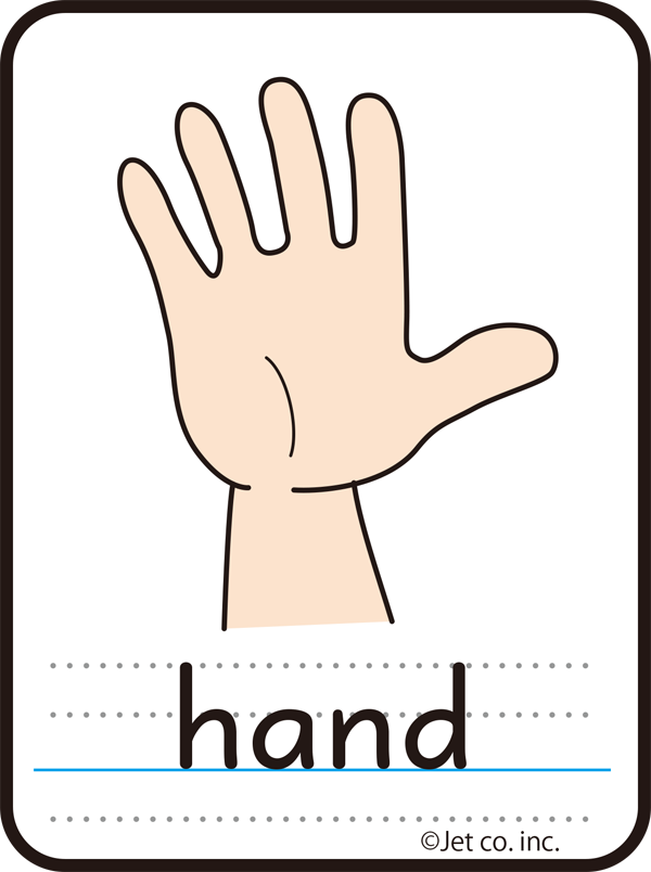 hand（手）