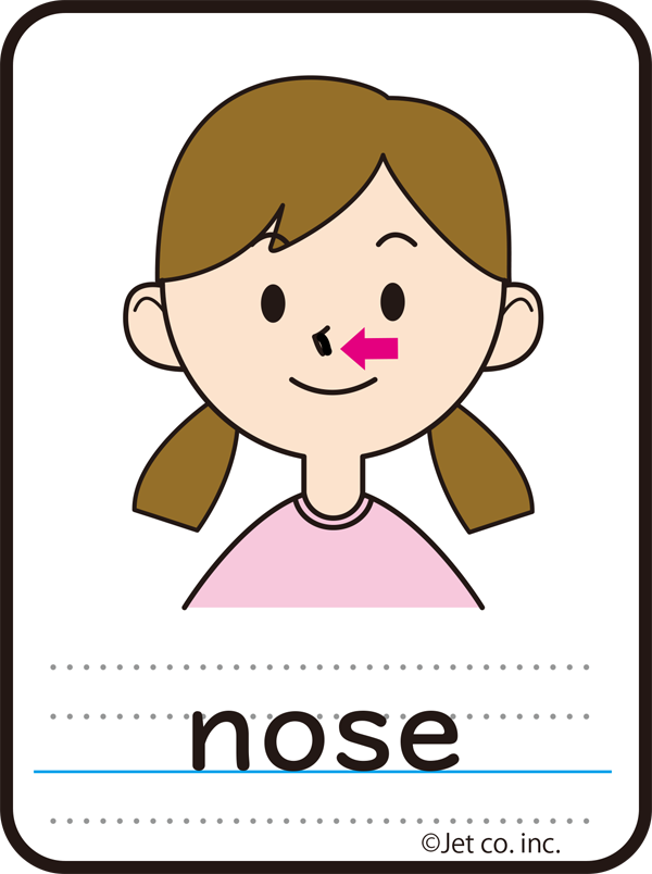 nose（鼻）