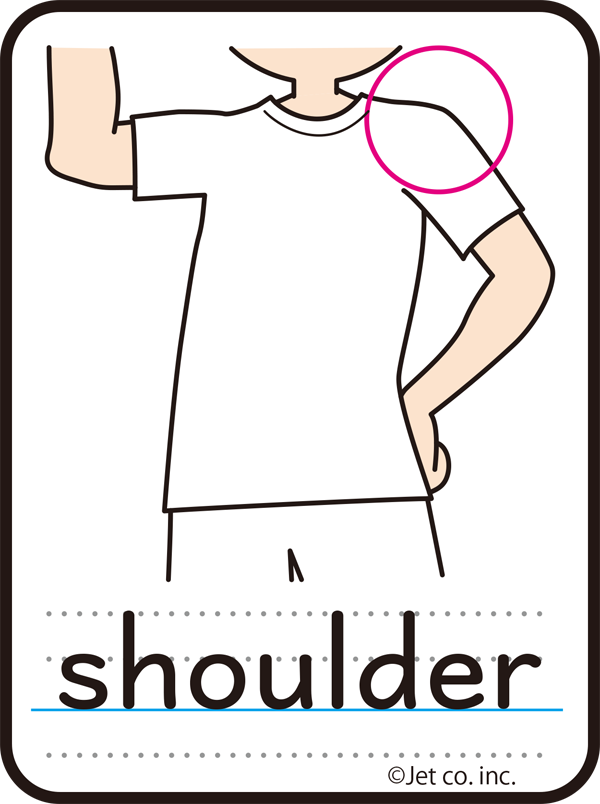 shoulder（肩）