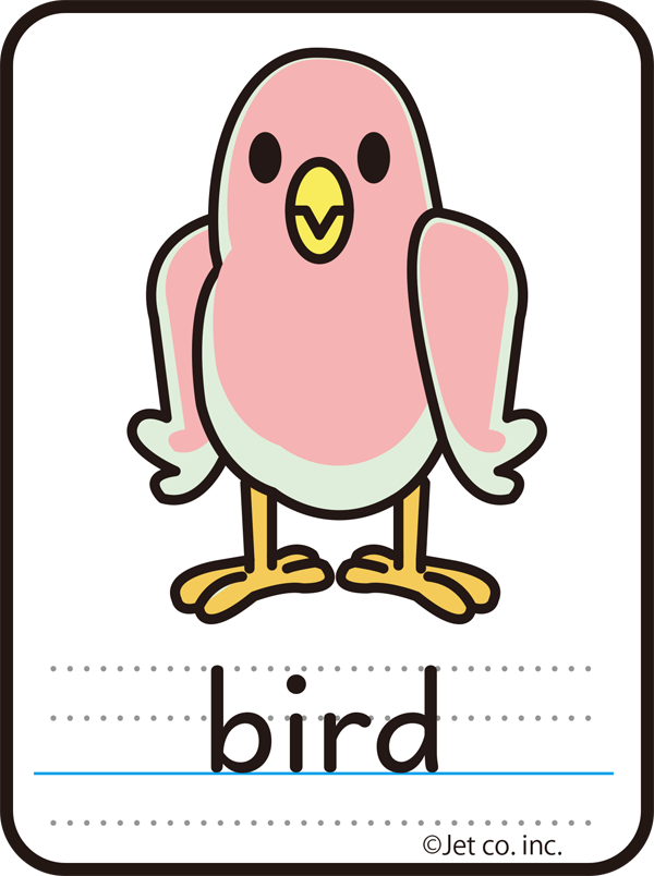 bird（鳥）
