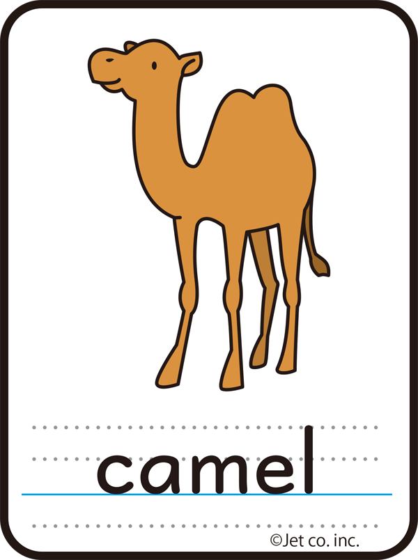 camel（ラクダ）