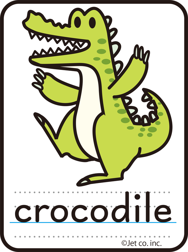 crocodile（ワニ）