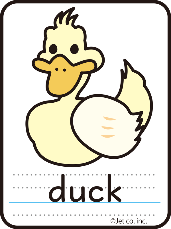 duck（カモ）