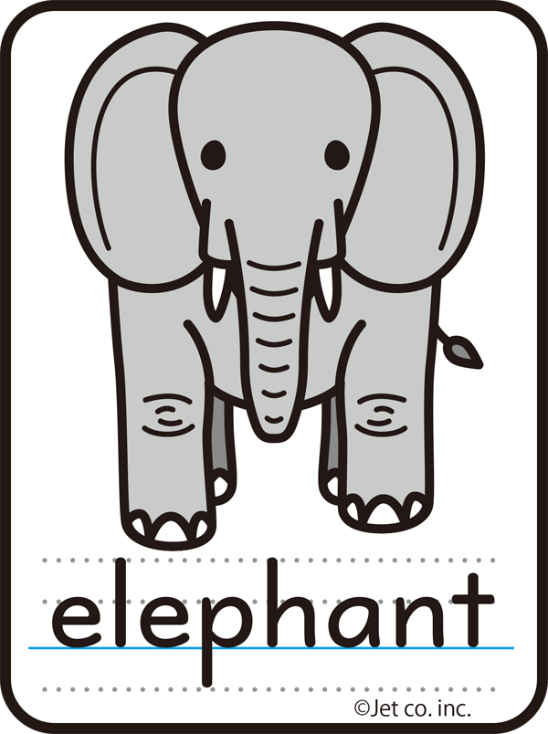 elephant（ゾウ）