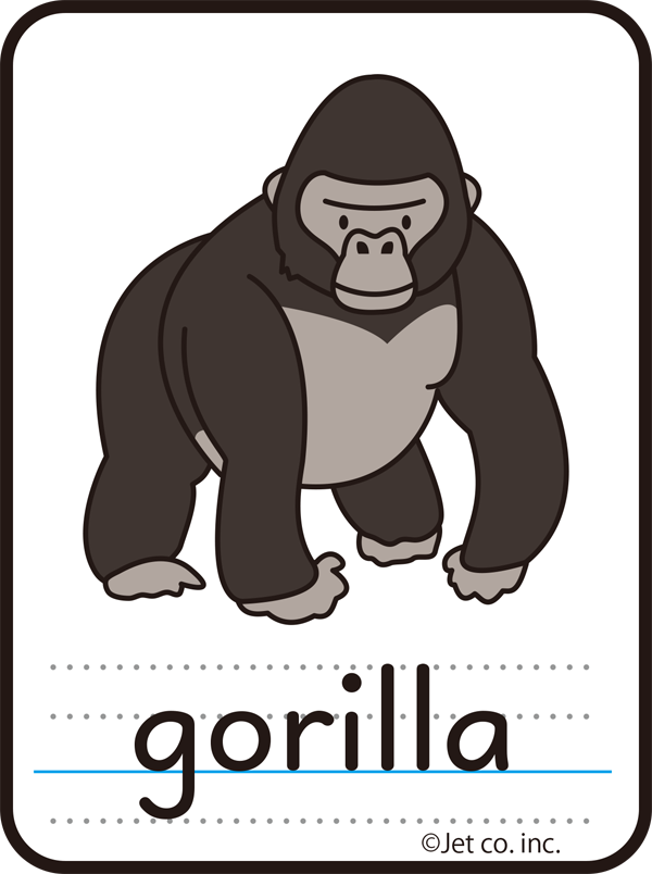 gorilla（ゴリラ）
