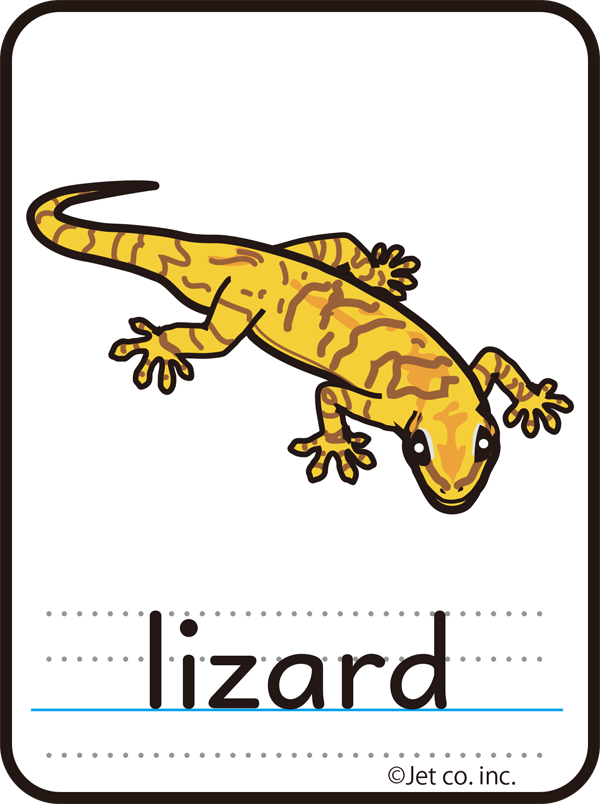 lizard（トカゲ）