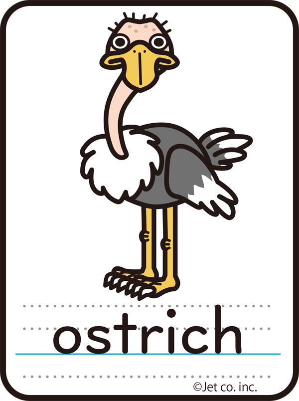 ostrich（ダチョウ）