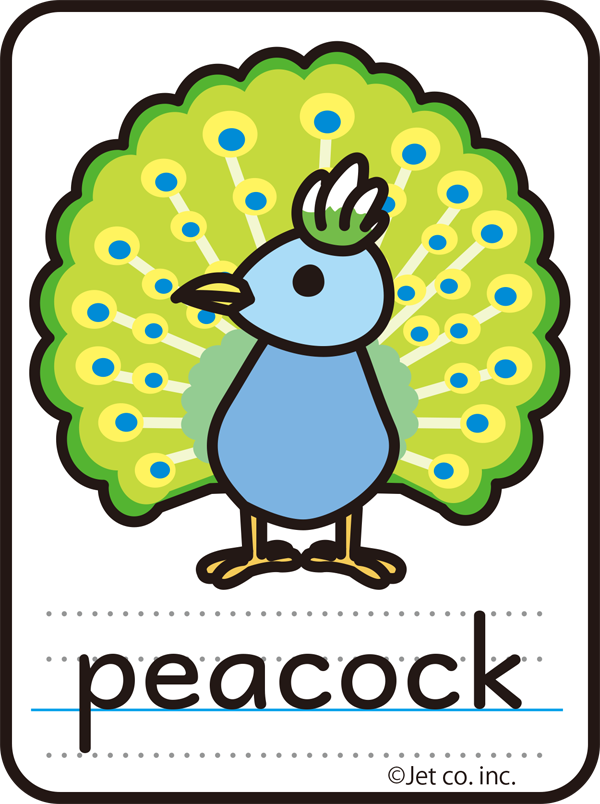 peacock（クジャク）