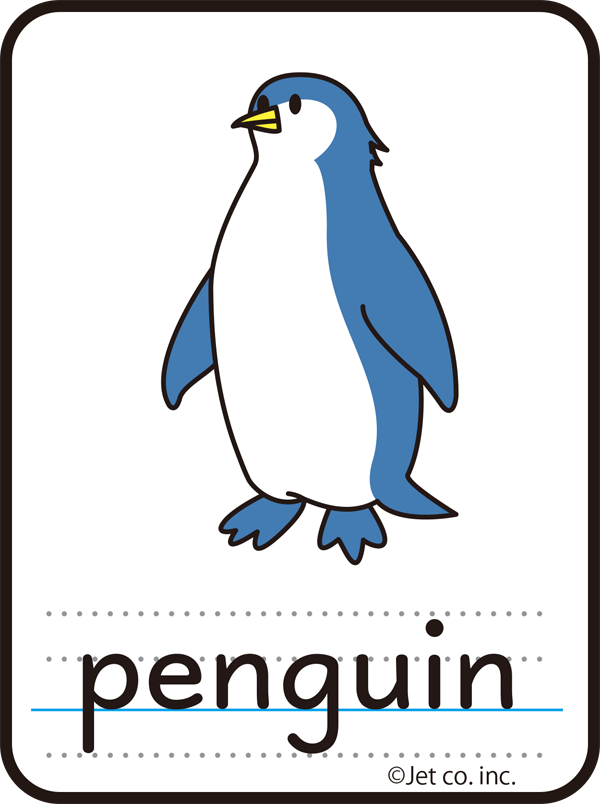 penguin（ペンギン）