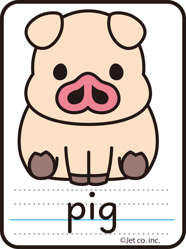 pig（ブタ）