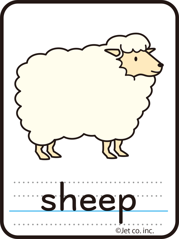 sheep（羊）