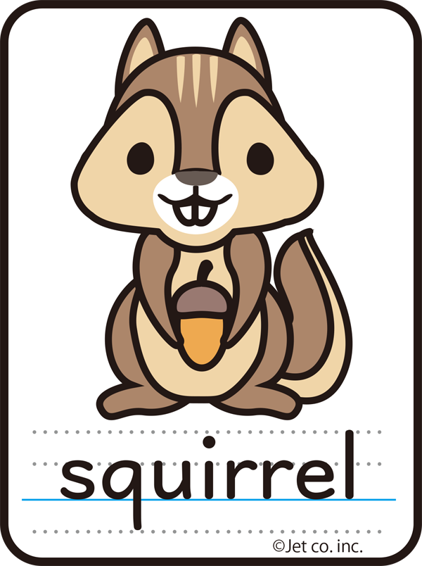 squirrel（リス）