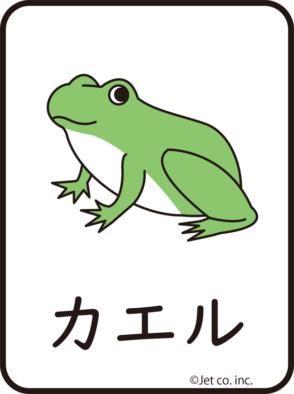 蛙（カエル）